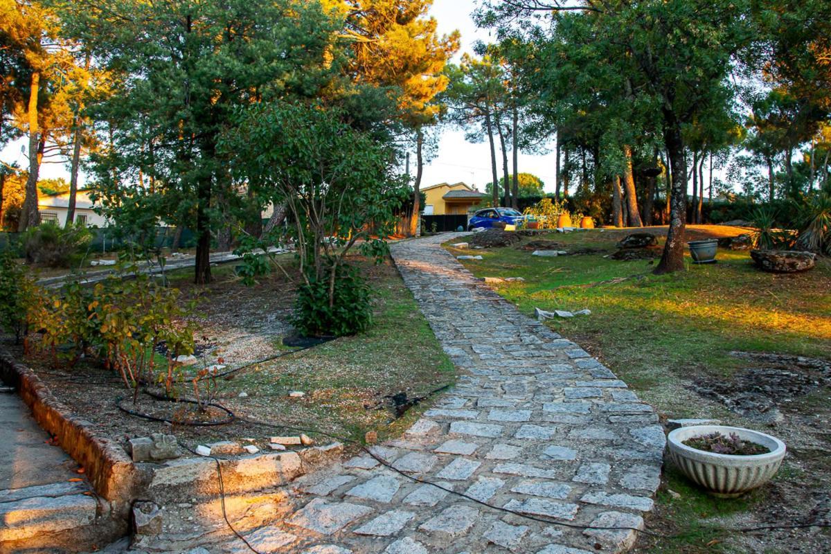 Casa Cadalso, Mirador De Gredos, Madrid Pension Cadalso de los Vidrios Buitenkant foto